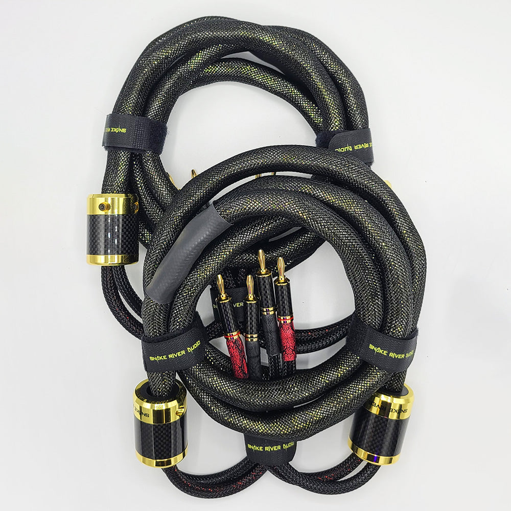 Takshaka Speaker Cables image 3