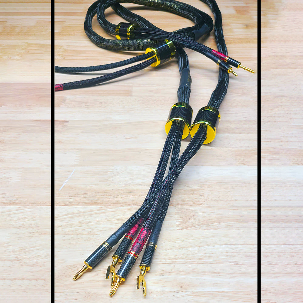 Takshaka Speaker Cables image 0
